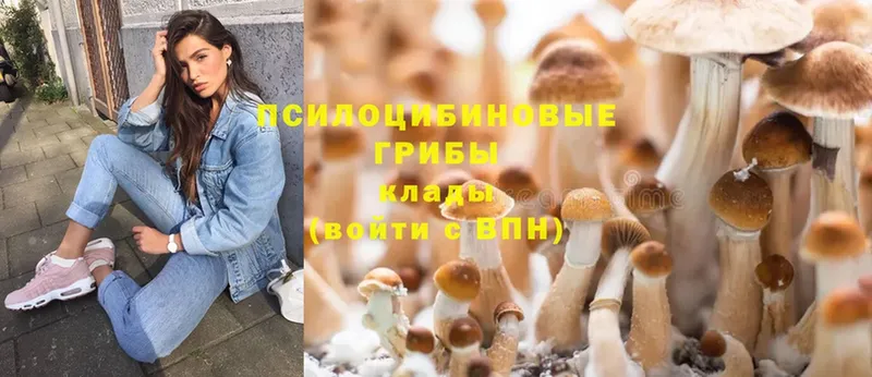 цены наркотик  Трубчевск  Галлюциногенные грибы Cubensis 